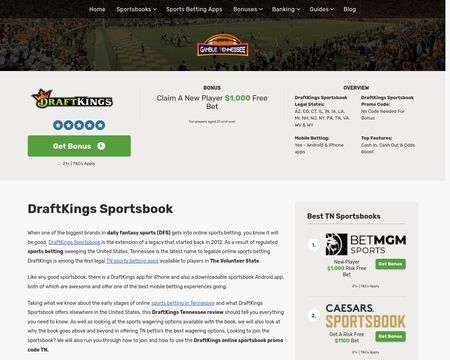 website thubmnail of BestKingsPromoCode