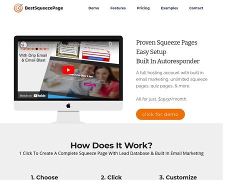website thubmnail of BestSqueezePage