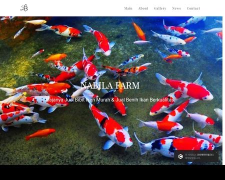website thubmnail of Bibitikan.creatorlink.net