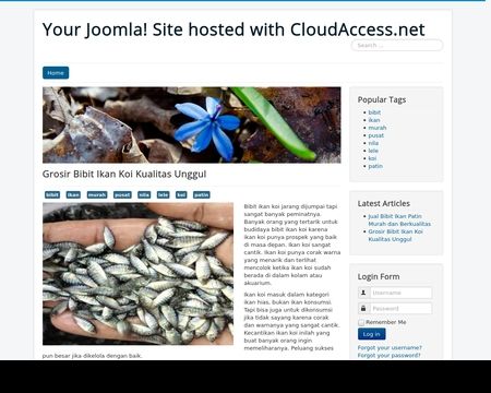 website thubmnail of Bibitikan.joomla