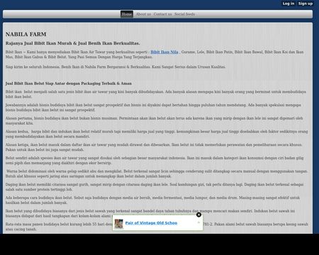 website thubmnail of Bibitikan.xtgem