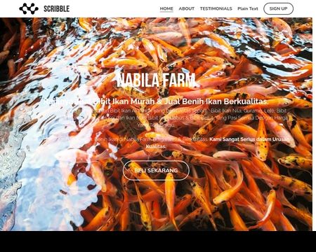 website thubmnail of Bibitikannila.mystrikingly
