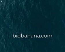 Thumbnail of Bidbanana