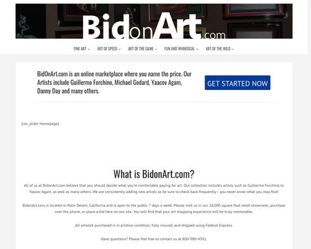 website thubmnail of Bid On Art
