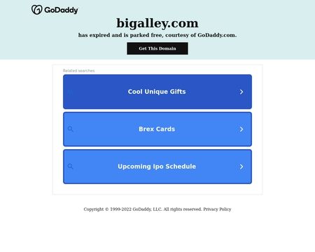 website thubmnail of Bigalley