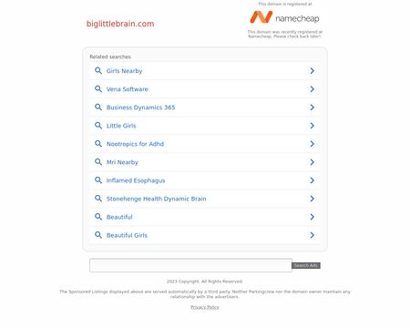 website thubmnail of Biglittlebrain