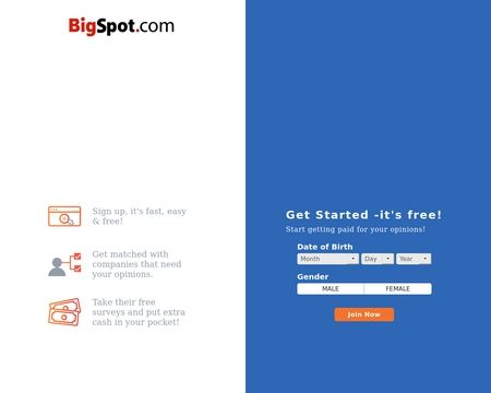 website thubmnail of BigSpot