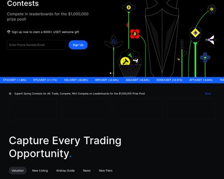 website thubmnail of Bingx