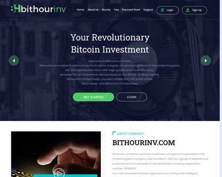 website thubmnail of Bithourinv