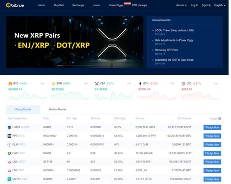 website thubmnail of Bitrue