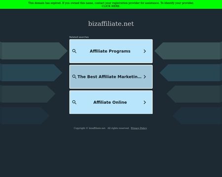 website thubmnail of BizAffiliate.net