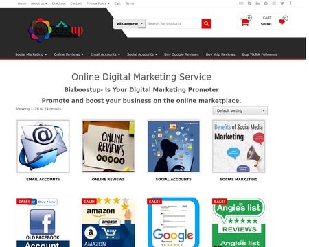 website thubmnail of Biz Boost Up
