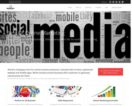 website thubmnail of Blue Particle Solutions