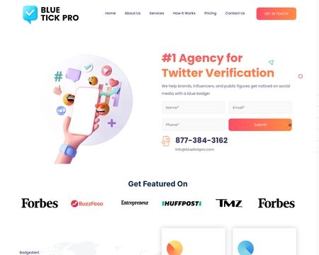 website thubmnail of Bluetickpro