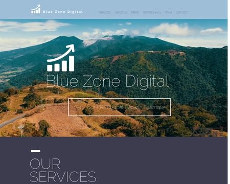 website thubmnail of Blue Zone Digital