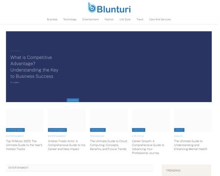 website thubmnail of Blunturiblog