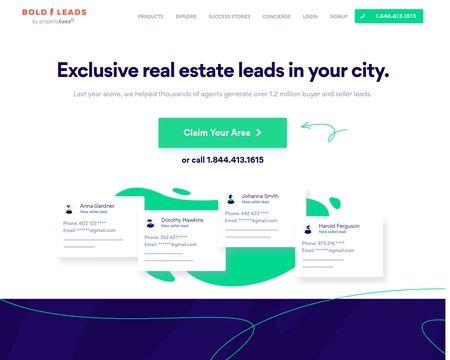 website thubmnail of BoldLeads™