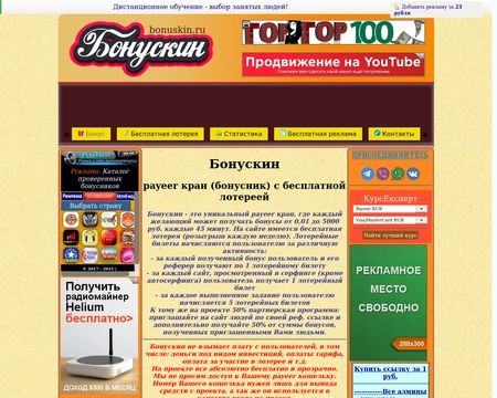 website thubmnail of Bonuskin.ru