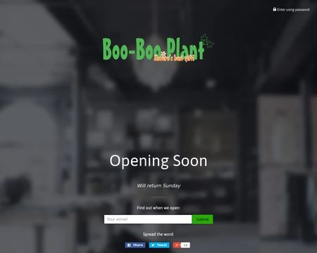 website thubmnail of BooBooPlant