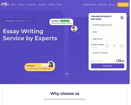 website thubmnail of Boom Essays