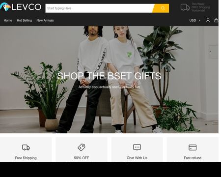 website thubmnail of Levco