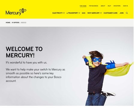 website thubmnail of Bosco Connect Limited