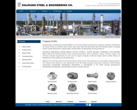 website thubmnail of Branchconnections