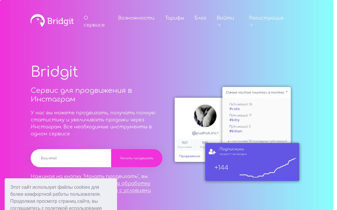website thubmnail of Bridgit.me