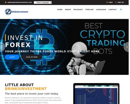website thubmnail of Brinksinvestment