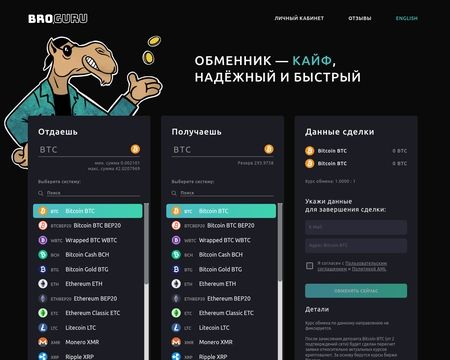 website thubmnail of Bro Guru