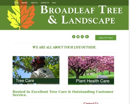 website thubmnail of Broadleaf Tree and Landscape
