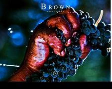 Thumbnail of Brown Napa Valley