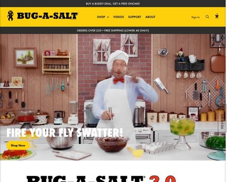 website thubmnail of Skell