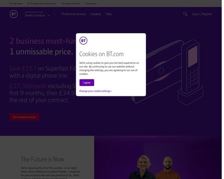 BT Business