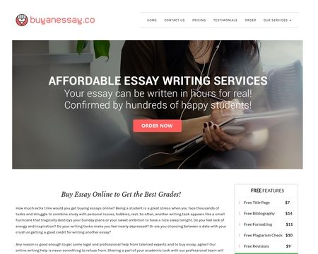 website thubmnail of BuyAnEssay.co