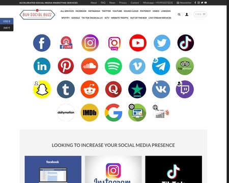 website thubmnail of Buysocialbuzz