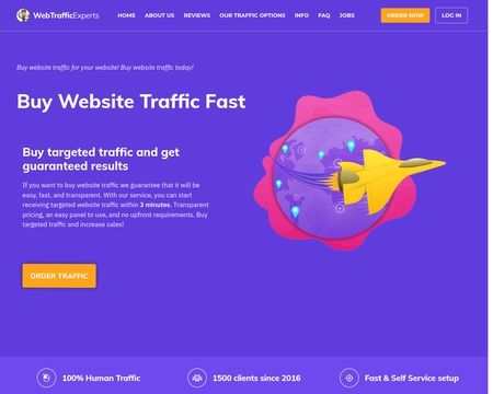 website thubmnail of Buy Web Traffic Experts