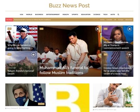website thubmnail of Buzznewspost