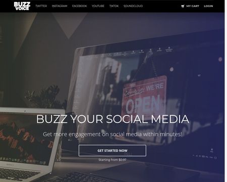 website thubmnail of Buzzvoice