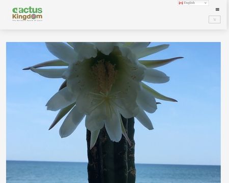 website thubmnail of Cactus Kingdom