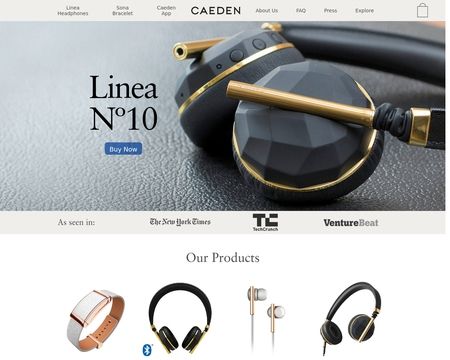 website thubmnail of Caeden, Inc.