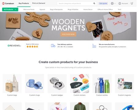 website thubmnail of Camaloon