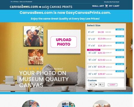 website thubmnail of CanvasBees