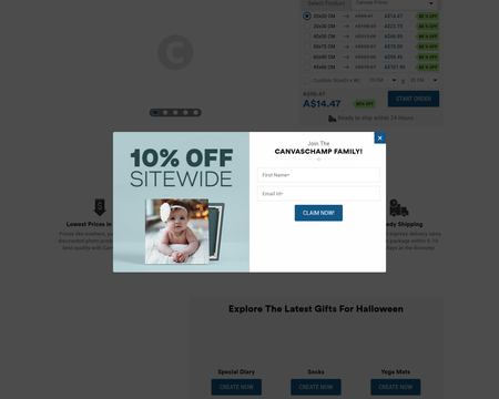 website thubmnail of Canvas Champ