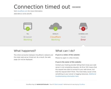 website thubmnail of Caratbee