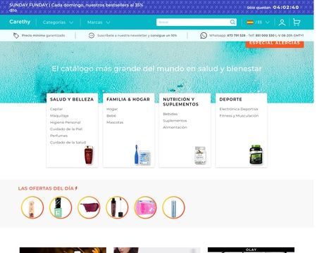 website thubmnail of Carethy ES