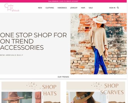 website thubmnail of Caroline Hill Wholesale