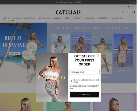 website thubmnail of Catchallstore