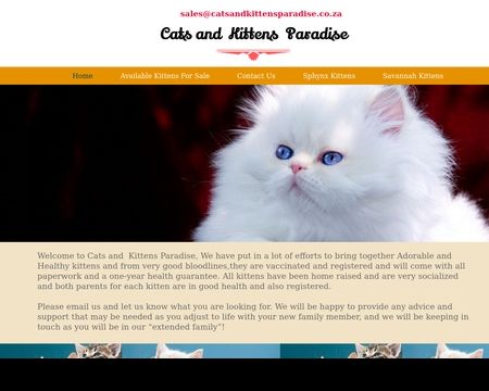 website thubmnail of Cats and Kitten Paradise
