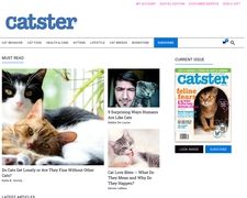 Thumbnail of Catster